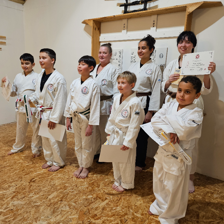 Okinawa Shorin-Ryu Karate tryout image