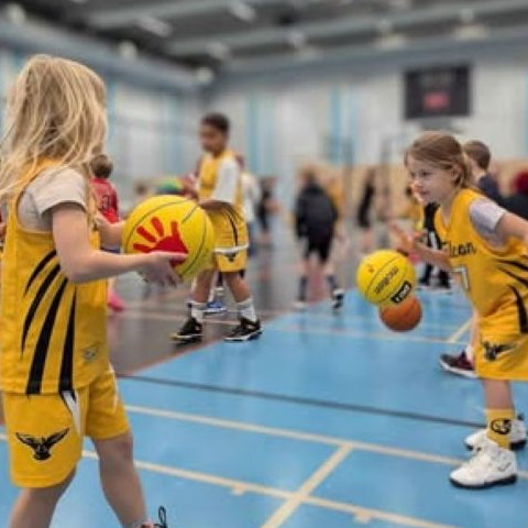 2022 - U4 Familiebasket