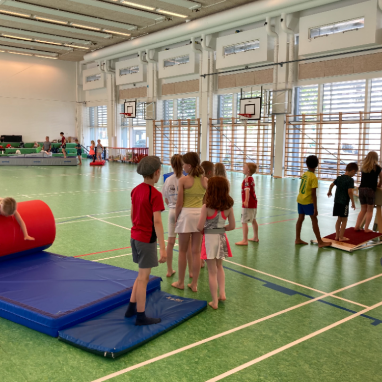 Åben tumlesjov 3-5 år tryout image