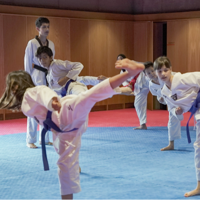 Taekwondo - 8 - 11 år Begynder tryout image