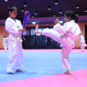 Taekwondo 6 - 7 år Torsdag