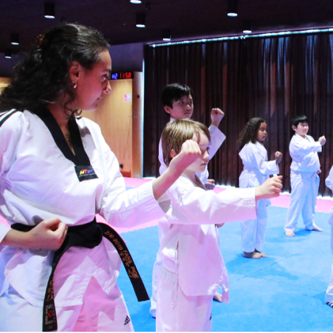 Taekwondo 6 - 7 år Søndag tryout image