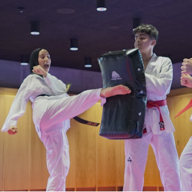 Taekwondo - Ungdom tryout image