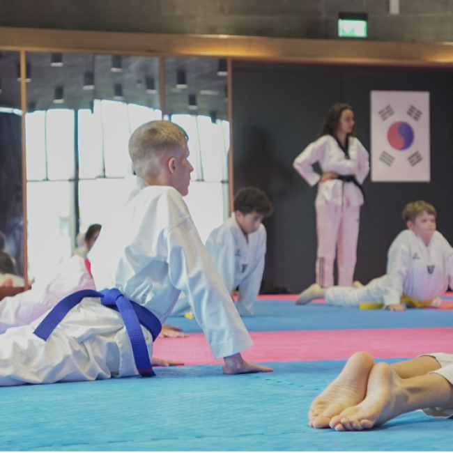 Taekwondo - Ungdom tryout image