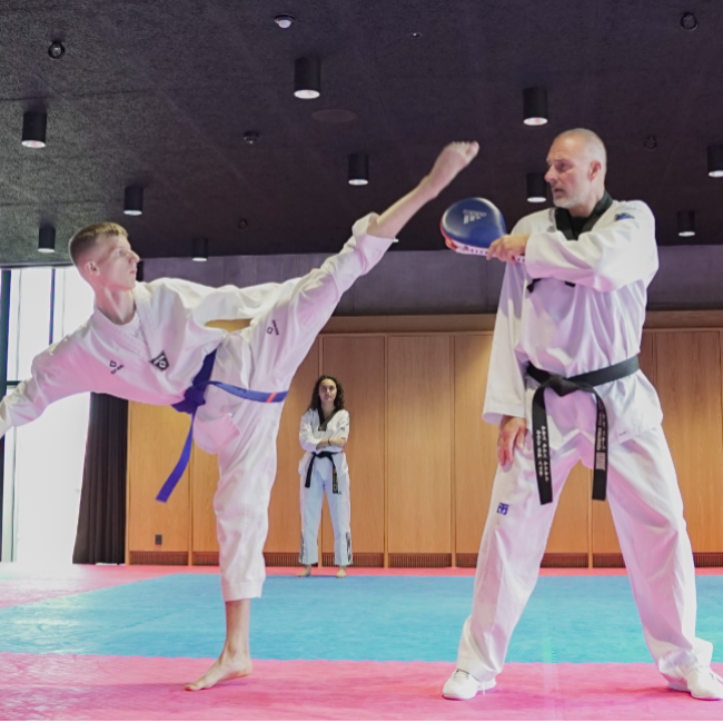 Taekwondo - Ungdom tryout image