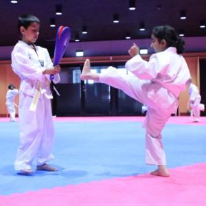 Taekwondo 6 - 7 år Tirsdag