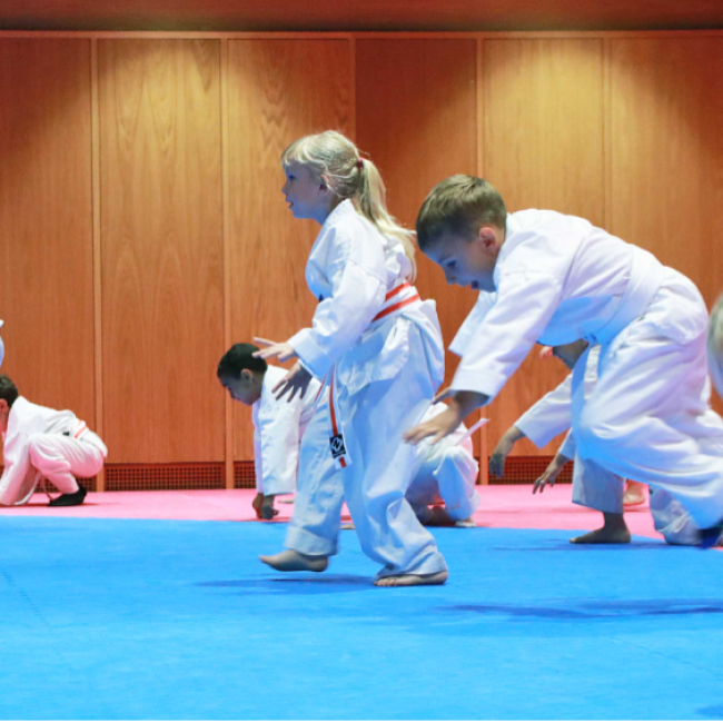 Taekwondo 4 - 5 år - Tirsdag tryout image