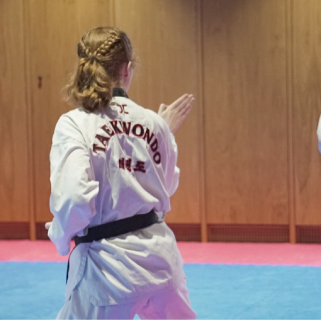 Taekwondo - Voksenhold tryout image