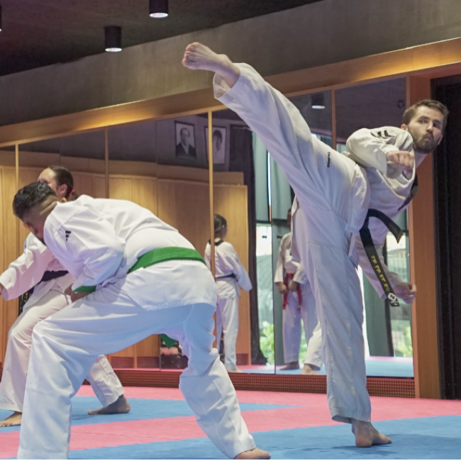 Taekwondo - Voksenhold tryout image