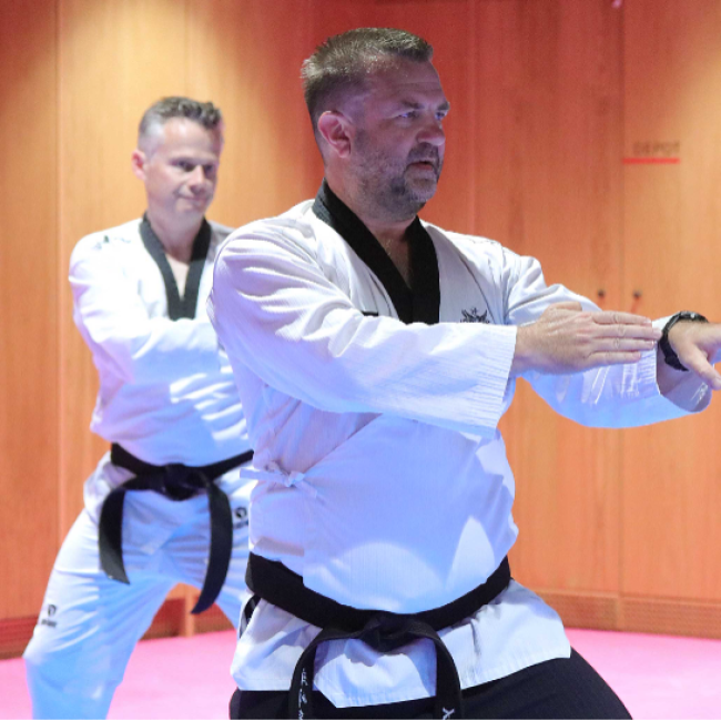 Taekwondo - Voksenhold tryout image