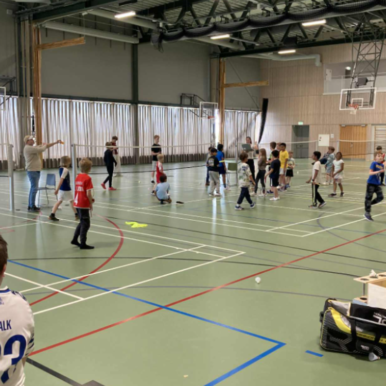 Badminton U15 tryout image