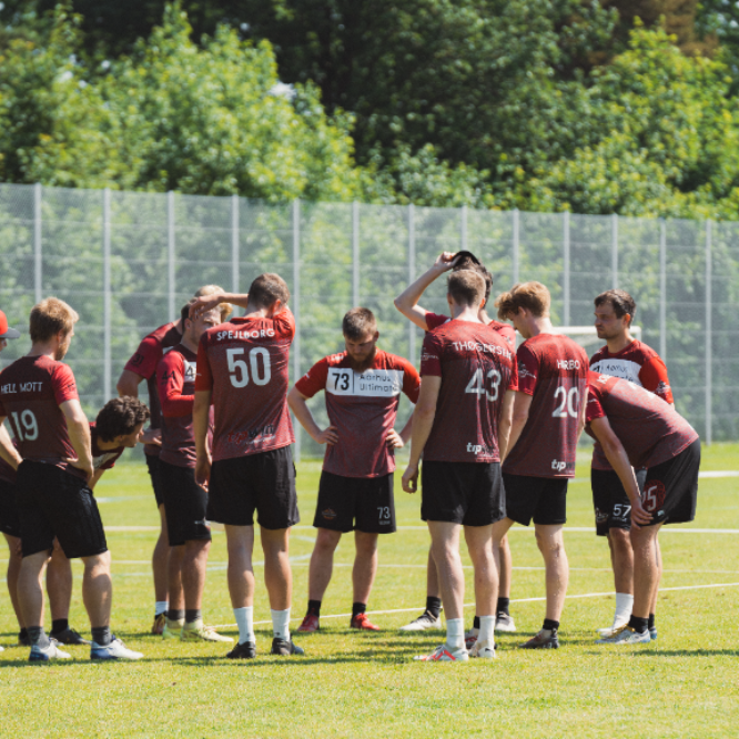Ultimate træning tryout image