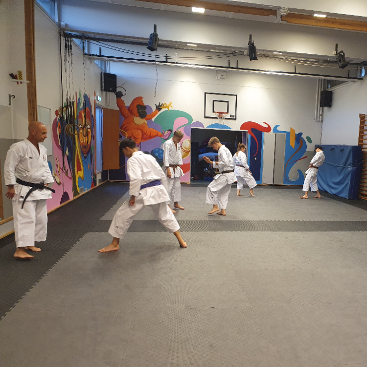 Karate for let øvet til øvet - Unge og voksne tryout image