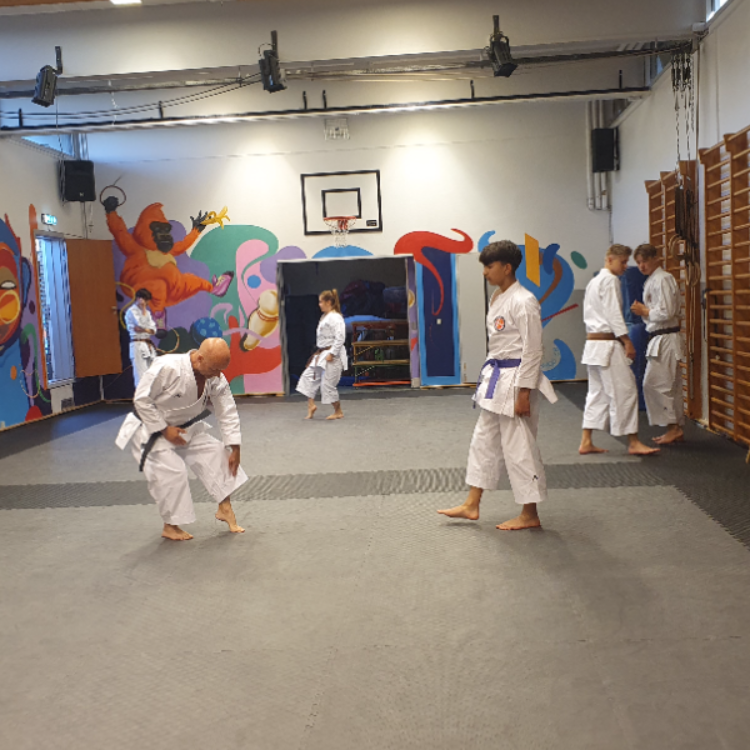 Karate for let øvet til øvet - Unge og voksne tryout image