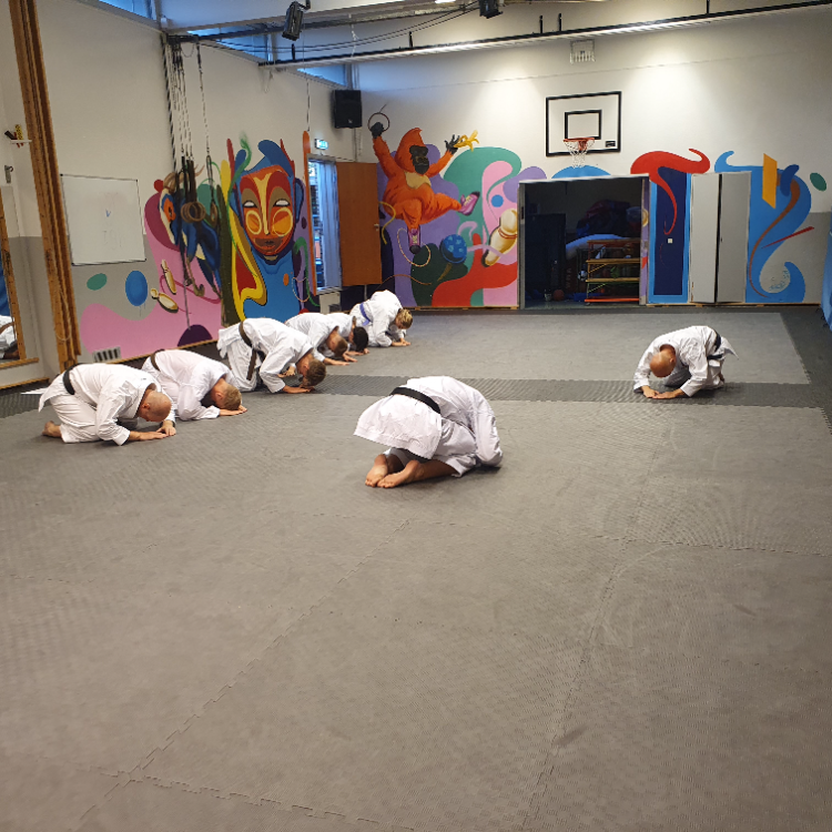 Karate for let øvet til øvet - Unge og voksne tryout image