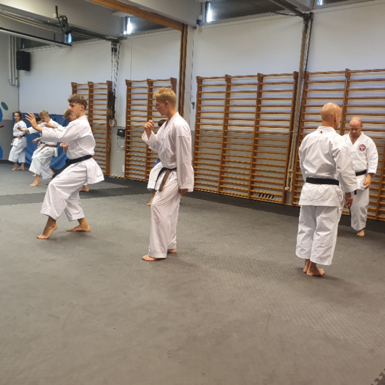 Karate for let øvet til øvet - Unge og voksne tryout image