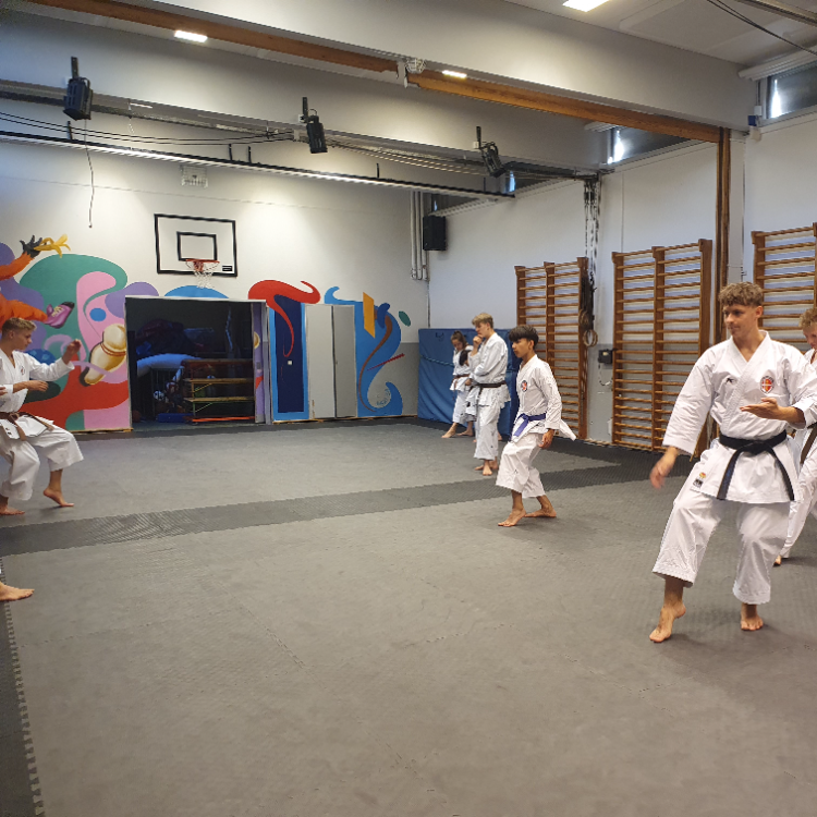 Karate for voksne - begyndere, let øvet og øvet tryout image