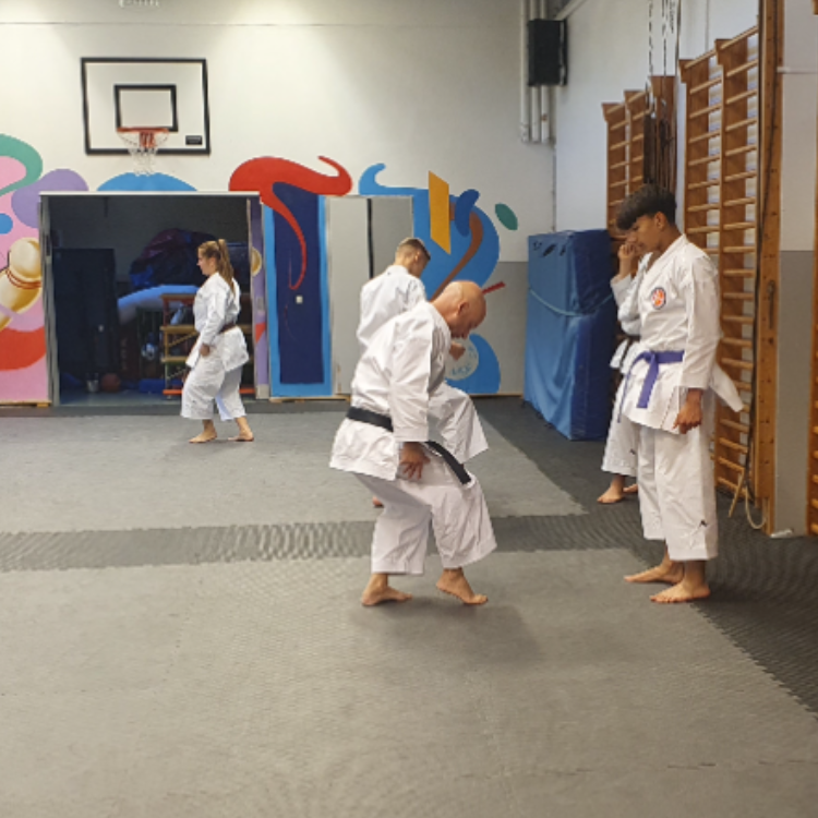 Karate for voksne - begyndere, let øvet og øvet tryout image