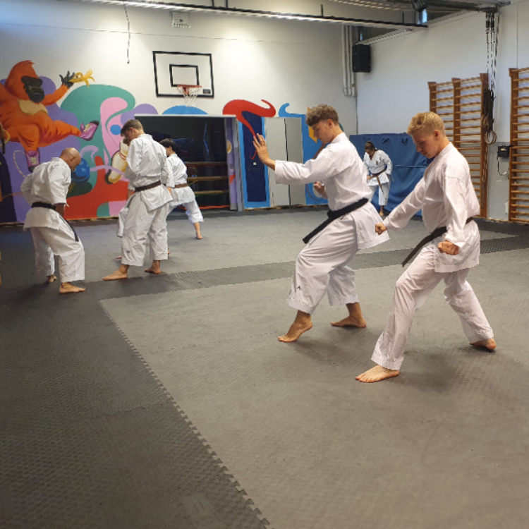 Karate for voksne - begyndere, let øvet og øvet tryout image