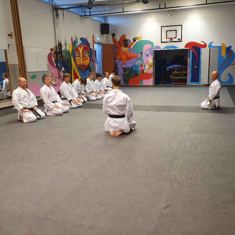 Karate for voksne - begyndere, let øvet og øvet tryout image