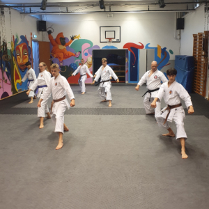Karate for voksne - begyndere, let øvet og øvet