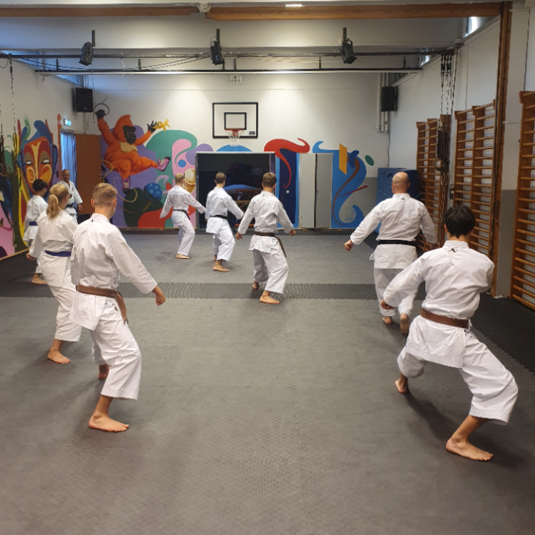 Karate for voksne - begyndere, let øvet og øvet tryout image