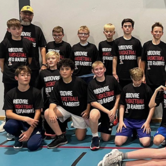 Basketball for drenge 11-13 årige tryout image