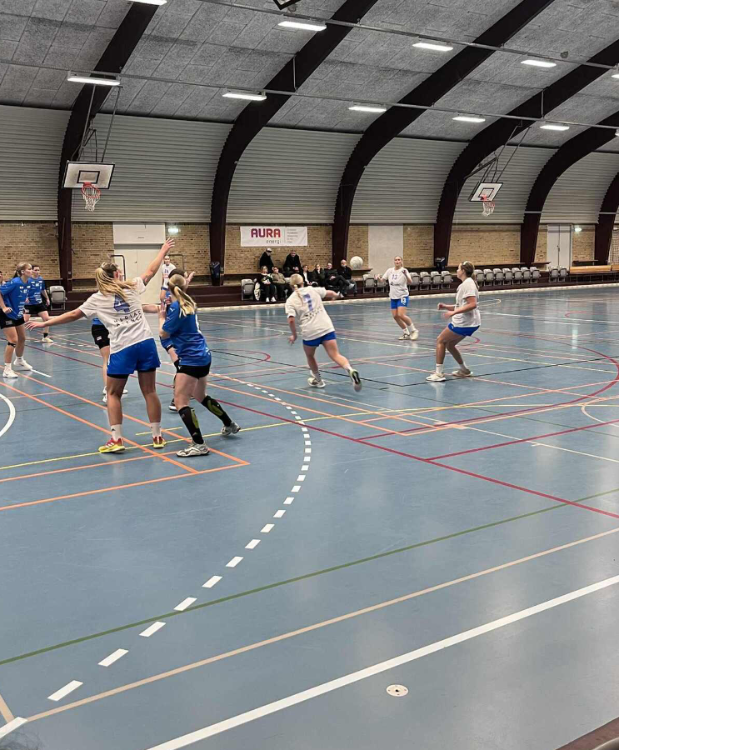 Håndbold - Kvinder  tryout image