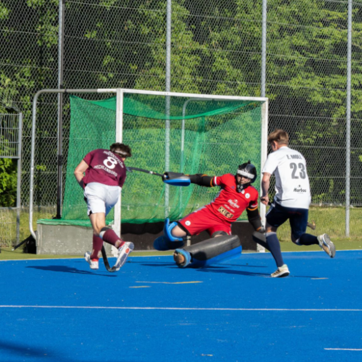 Hockey Herre. Senior tryout image