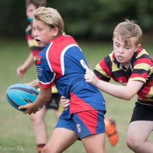 RUGBY U14 - Ungdomstræning (13-14 år)