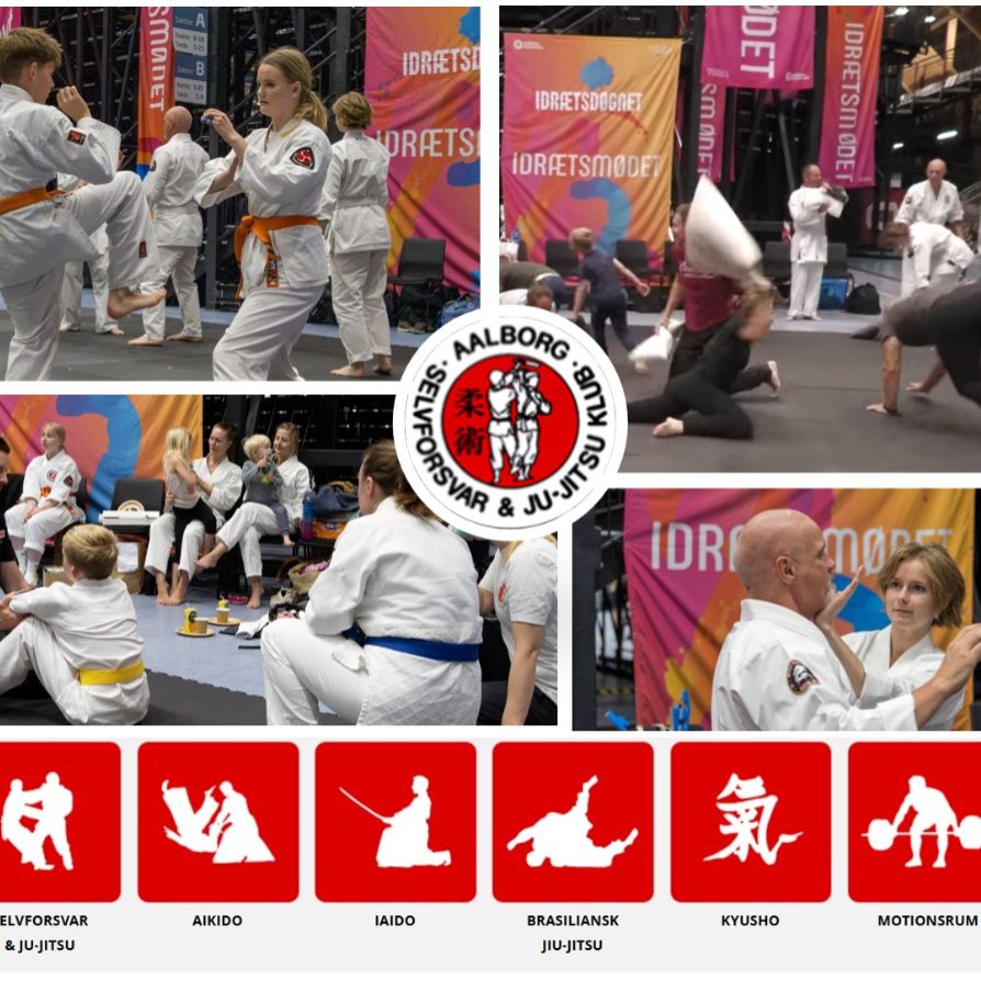 Aalborg Selvforsvar og Jujitsu Klub, Idrætsdøgnet  tryout image