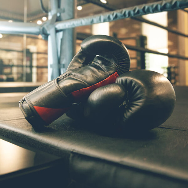 Bobbys Boxing tryout image