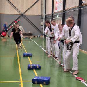 Taekwondo 