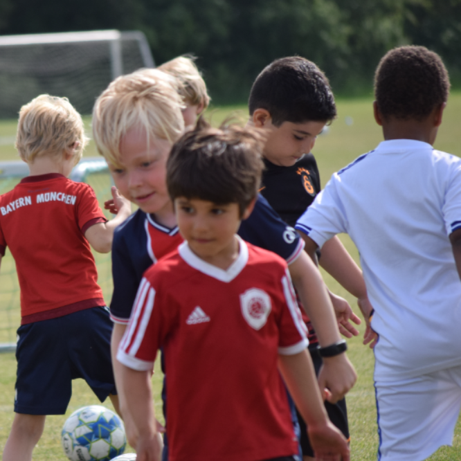 Fnuggi (fodbold for de mindste - årgang 2020-2023) tryout image