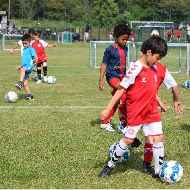 Fnuggi (fodbold for de mindste - årgang 2020-2023) tryout image