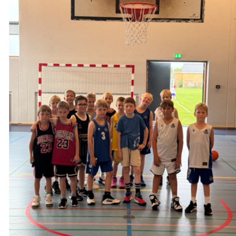 Basketball for drenge (9-10 år) tryout image