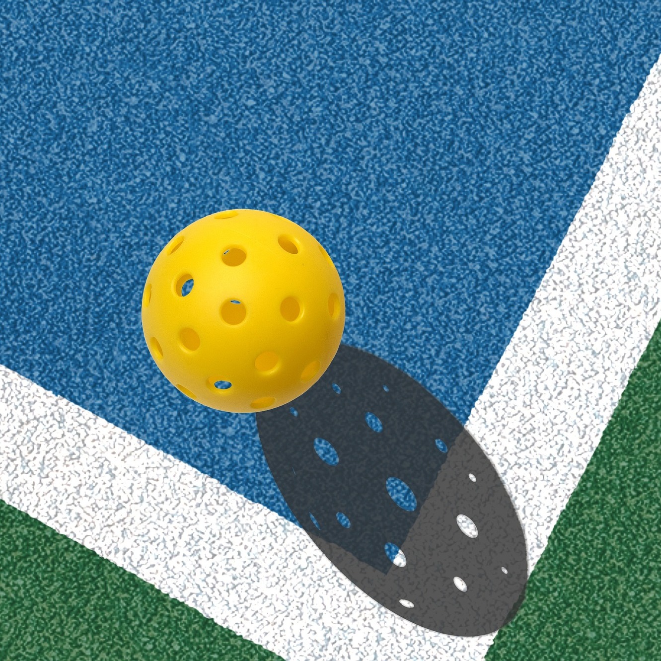 Pickleball tryout image