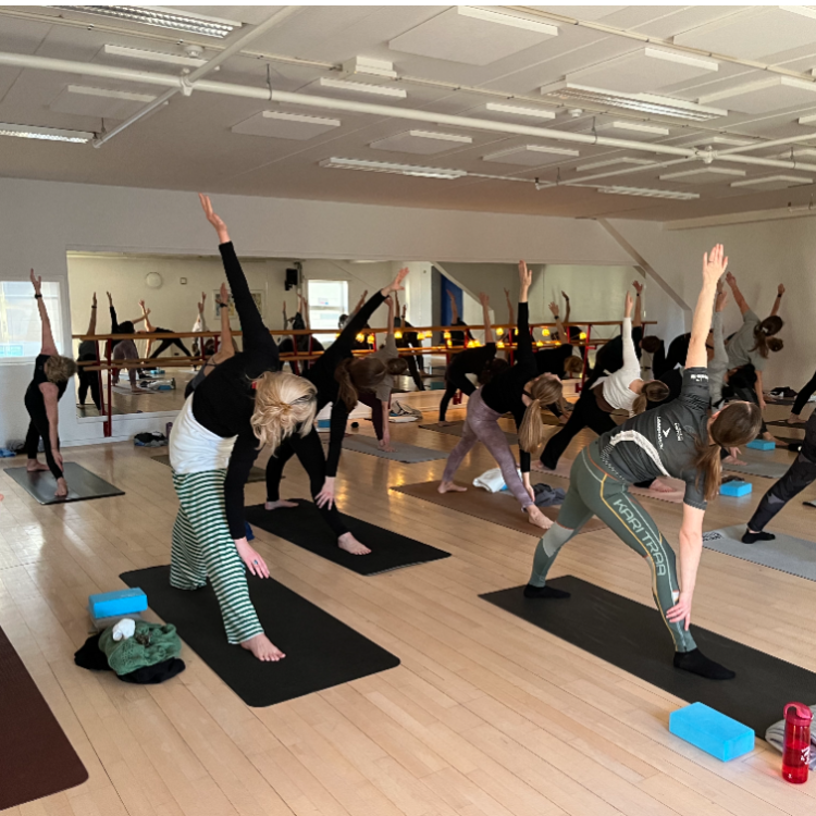 Yoga torsdag formiddag tryout image