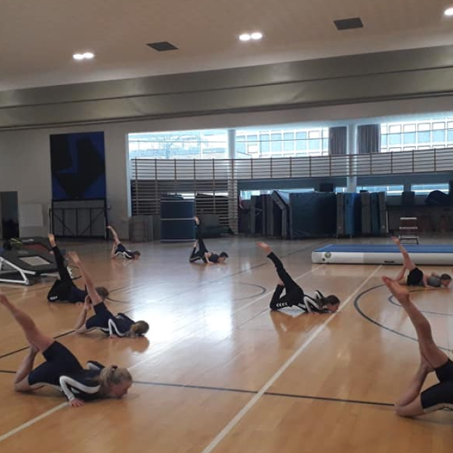 Gymnastik: Spring Max (Letøvet) tryout image