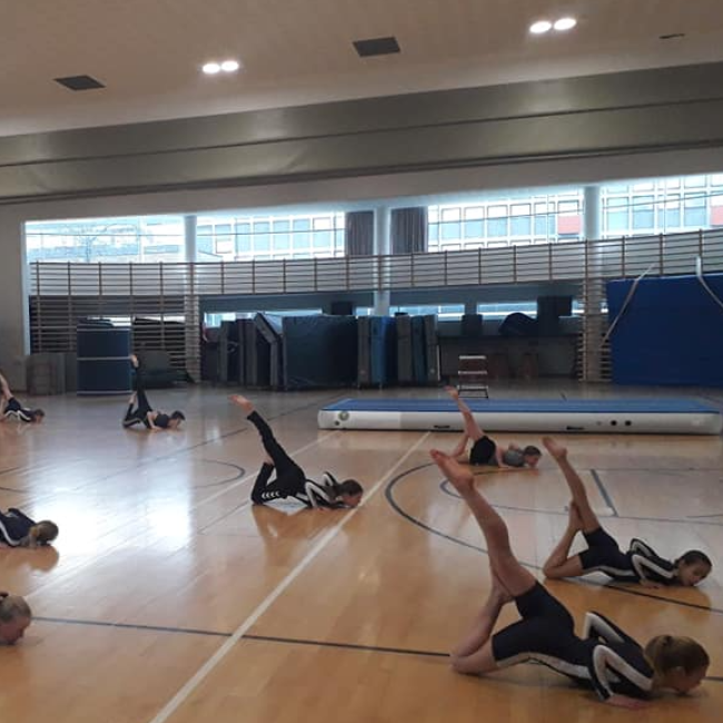 Gymnastik: SpringMax (Øvet) tryout image