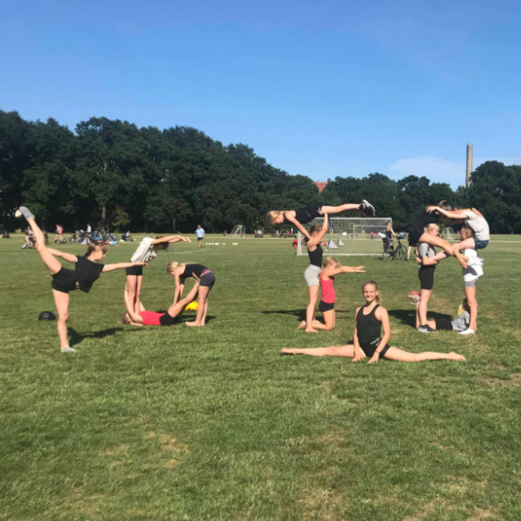 Gymnastik: SpringMax (Øvet) tryout image