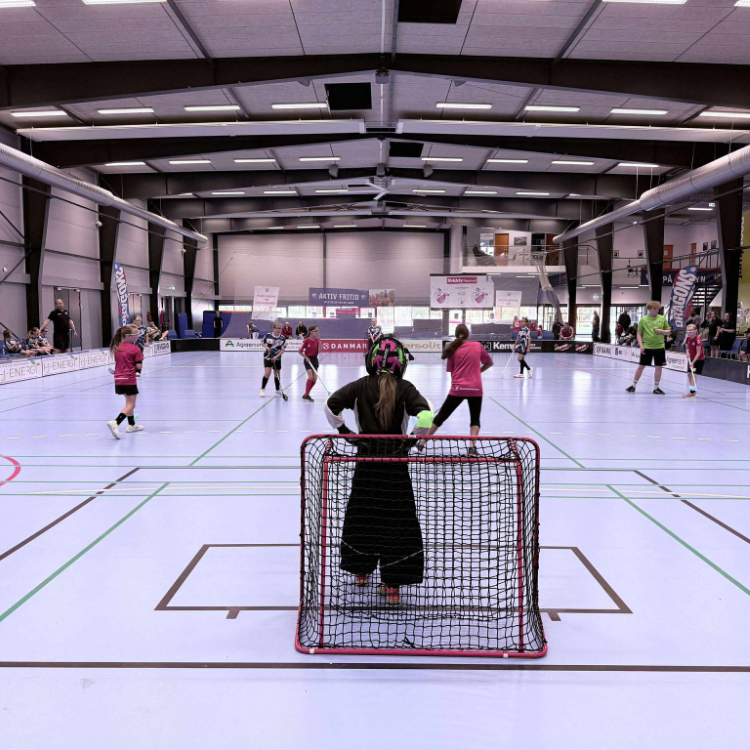 U11/U13 Piger - Rødovre Floorball Club tryout image