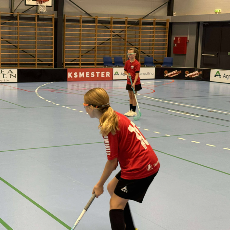 U11/U13 Piger - Rødovre Floorball Club tryout image