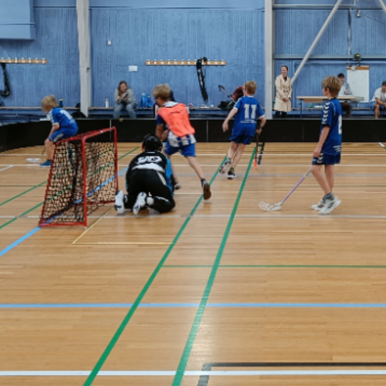 Tirsdags U9-U11 træning tryout image