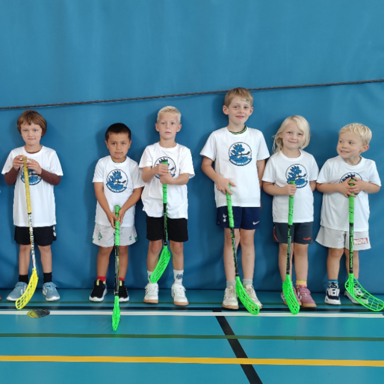 Børnefloorball 4-7 år tryout image