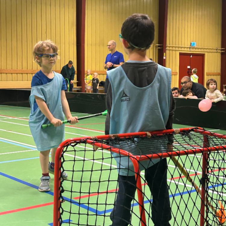 FamilieFloorball/DribleDragerne U3-U6 (Vanløse) tryout image