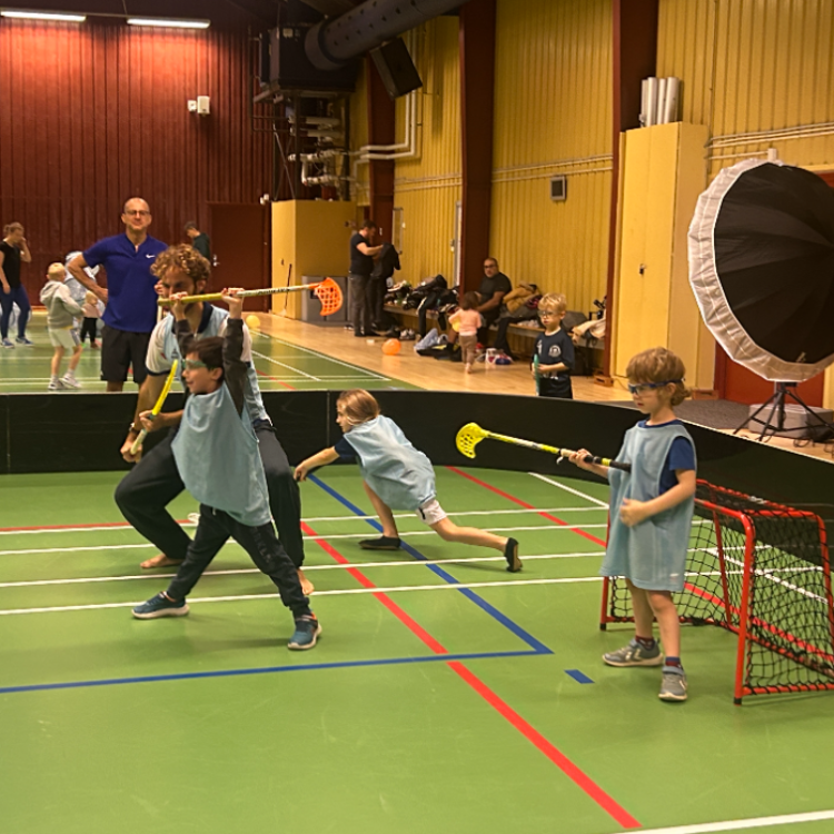 FamilieFloorball/DribleDragerne U3-U6 (Vanløse) tryout image