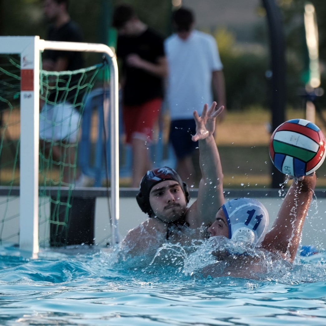 Senior vandpolo tryout image