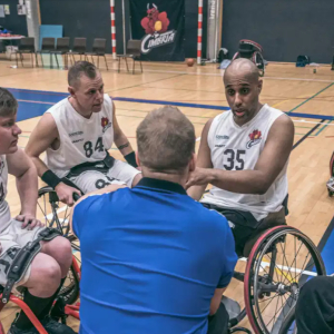 Kørestolsbasket voksen mix