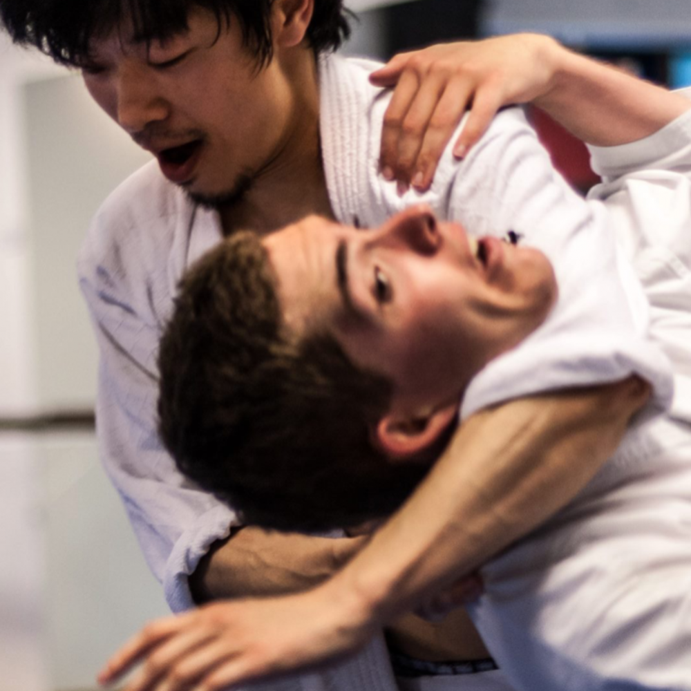 Frederiksberg Aikido Voksenhold tryout image